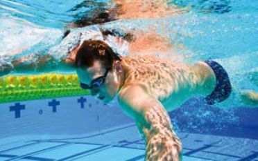 Schwimmerlernung Erwachsene